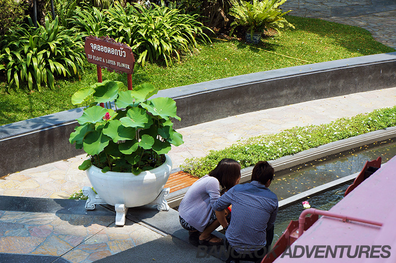 Floating a lotus flower at Erawan Museum