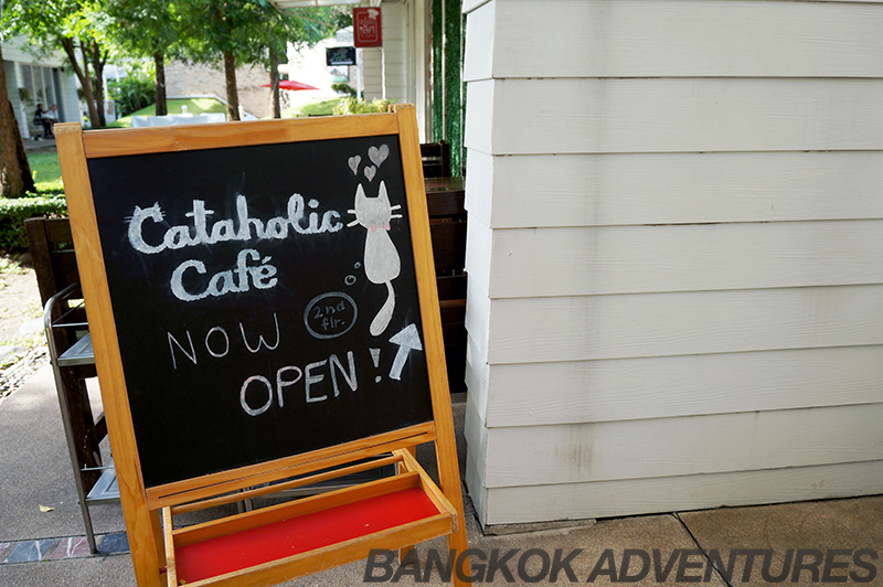 Cataholic Cat Café in Bangkok