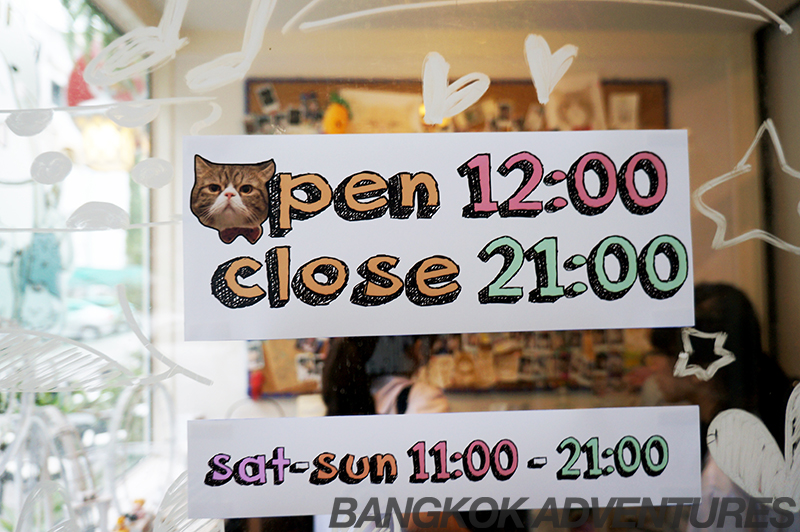 Caturday Cat Café opening times.