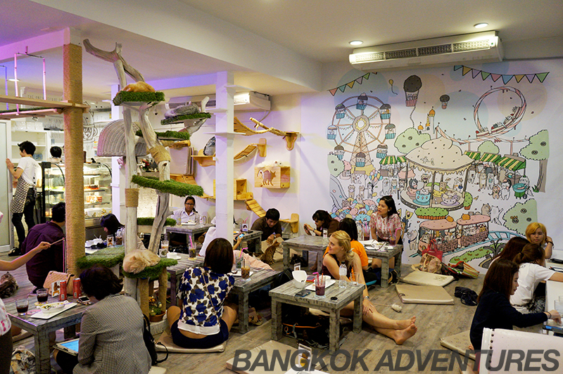 Lively atmosphere at the Caturday Cat Cafe in Bangkok