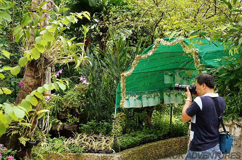 Photo opportunities at the Bangkok Butterfly Park and Insectarium