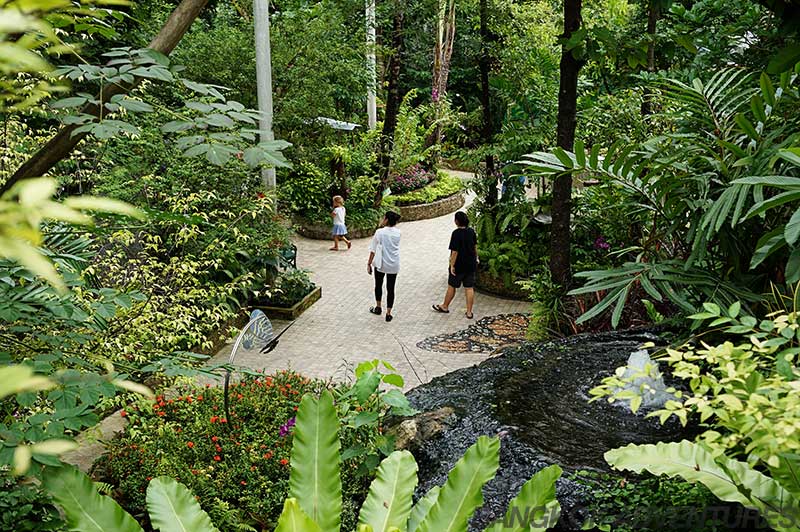 Lush gardens at the Bangkok Butterfly Park and Insectarium